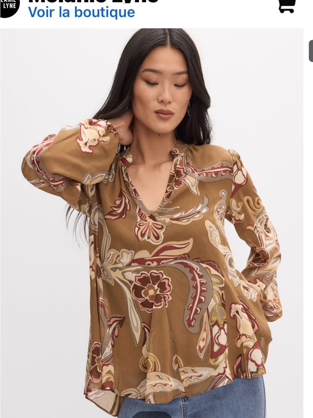 Paisley-Print V-Neck Blouse in Brown